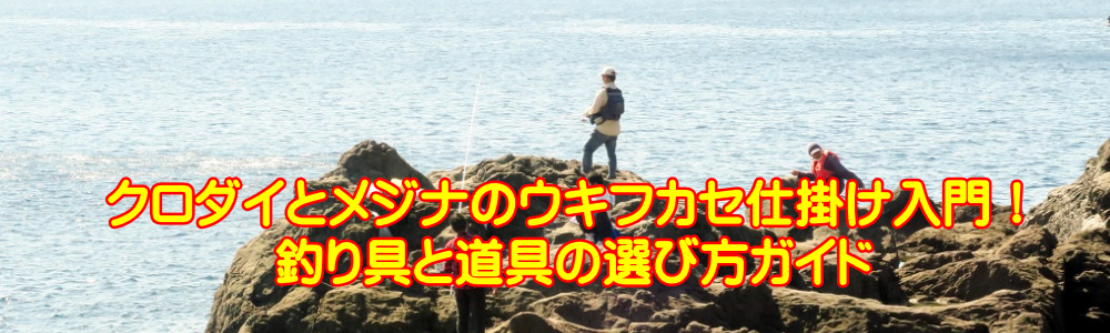 N_CƃWĩELtJZd|IނƓ̑IѕKCh